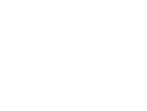 UM WEBDESIGN